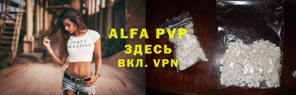 гидра Абаза