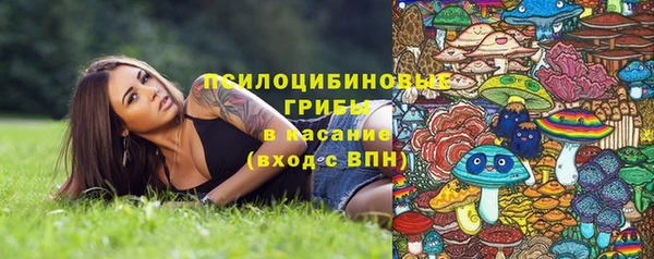 гидра Абдулино