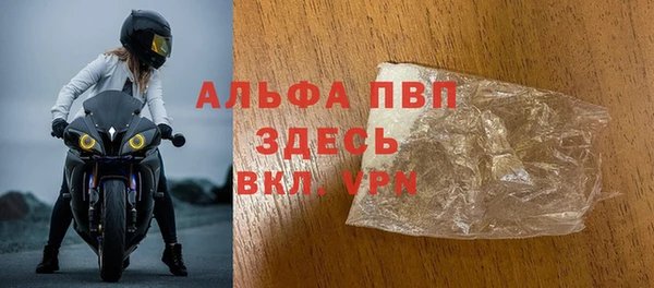 гидра Абаза