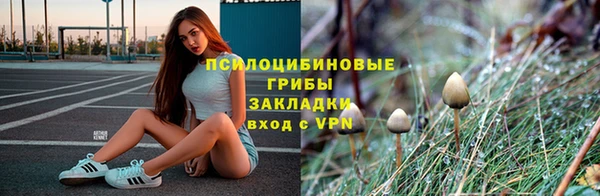 трава Абинск