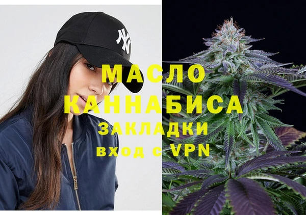 гидра Абаза